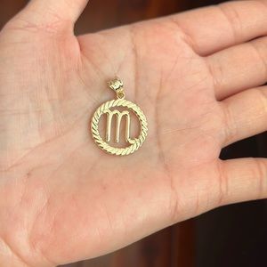 10k Solid Gold Scorpio Zodiac Sign Circle Pendant - Yellow, Rose, or White Gold